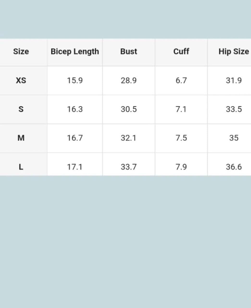 Black Dress Puff Sleeve L