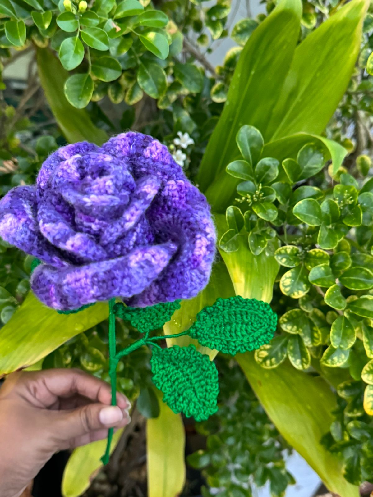 Choose 3 flowers for your MVR 500 gift Bouquet