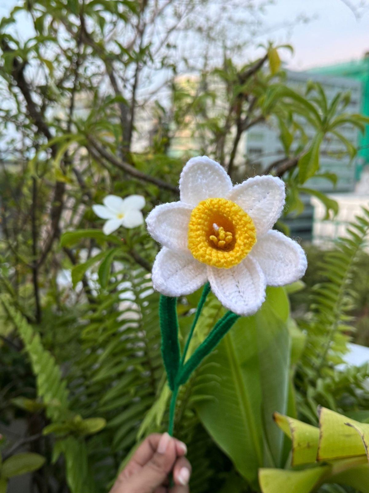 Daffodil - Handmade Crochet