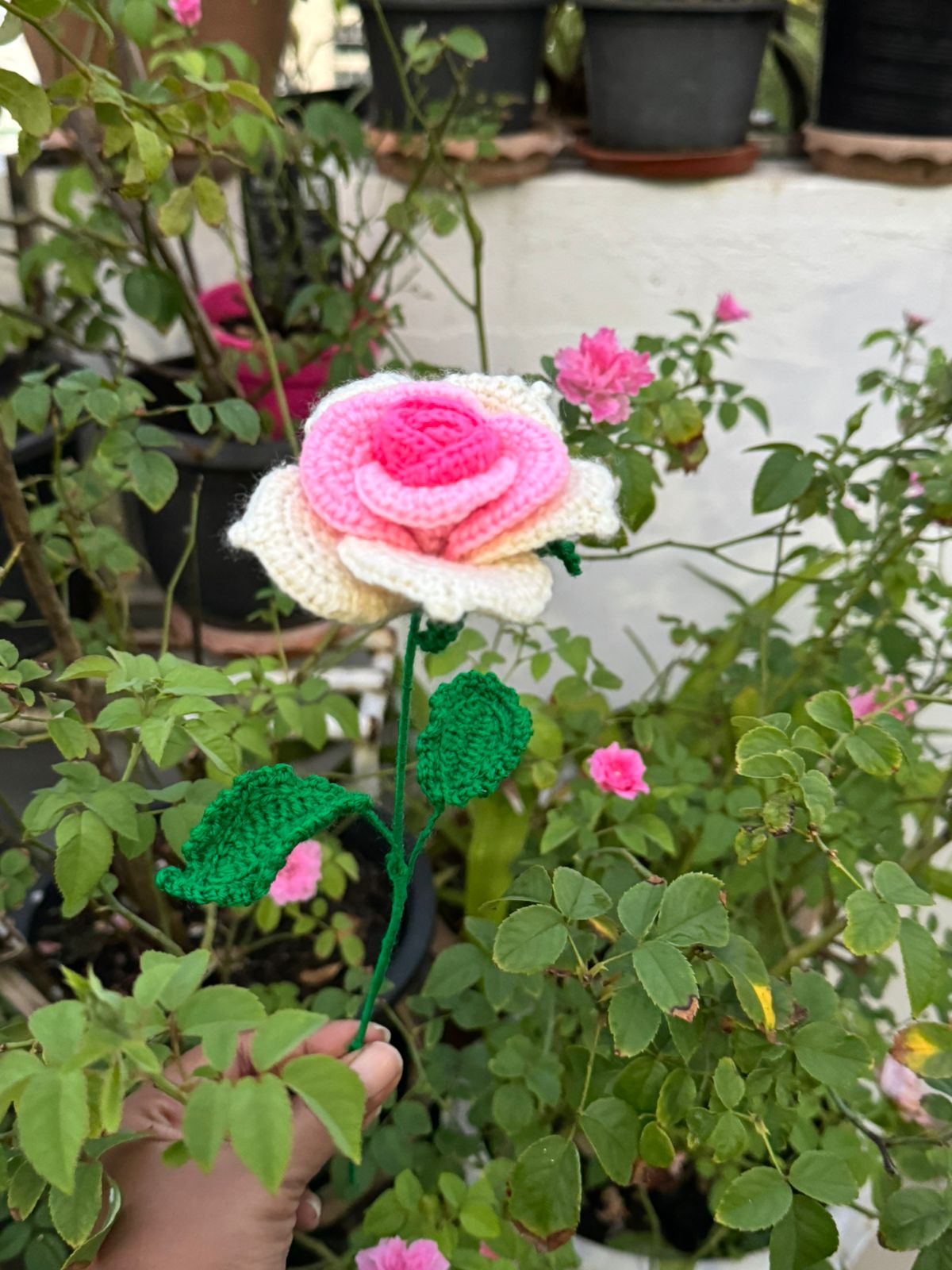 English Rose Pink Shades - Handmade Crochet