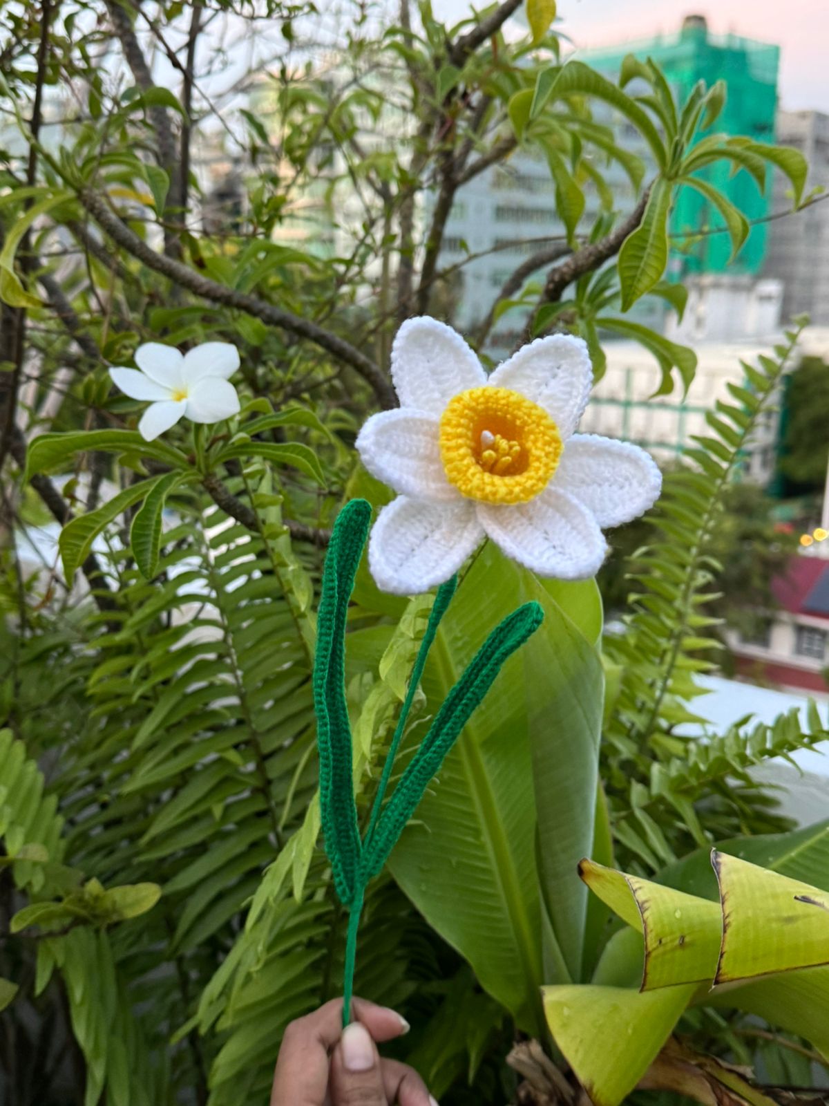 Daffodil - Handmade Crochet